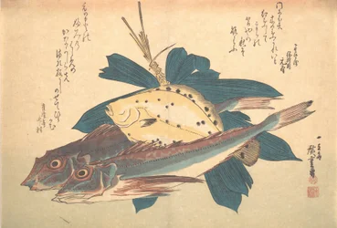 Kanagashira ja Karei Fish, sarjasta Uozukushi Every Variety of Fish, 1830s., 1830s.