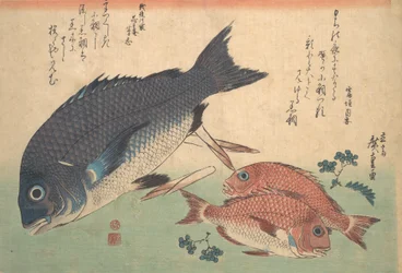 Kurodai- ja Kodai-kala bambunversoilla ja marjoilla, sarjasta Uozukushi Every V..., 1830-luku.