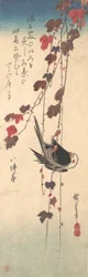 Pyrstötiainen syksyisellä muratilla, noin 1835.