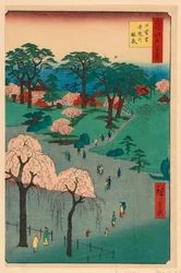 Nippori, temppelipuutarha (Nippori, Jiin No Rinsen) Sarjasta Sata kuuluisa näköala Edoon