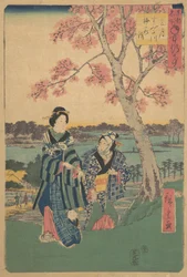 Visualització de flors de pruner al tercer mes al riu Sumida de la sèrie Annual Events at F..., 1854. finlandès