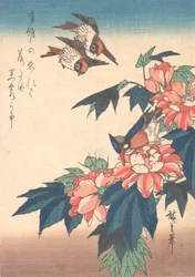 Pääskyset ja Kingfisher Rose Mallowsin kanssa, n. 1838, n. 1838.