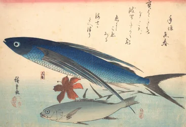 Tobiuo ja Ishimochi Fish, sarjasta Uozukushi Every Variety of Fish, 1840s., 1840s.