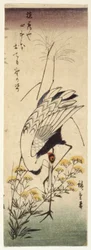 Crane with Wild Sinappi (värillinen puupainatus)