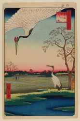 Minowa, Kanasugi, Mikawashima.