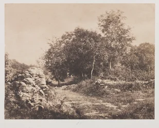 Nimetön kohtaus Fontainbleausta, n. 1853.