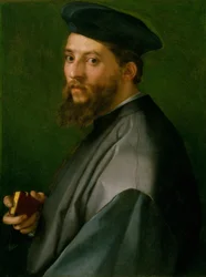 Miehen muotokuva, 1528-30.