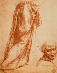 Verhojen ja miesten muotokuvan tutkimus; piirustus Andrea del Sarto. Piirustus- ja grafiikkakaappi, Uffizi-galleria, Firenze