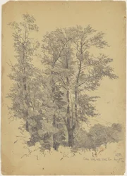 Oaks, Wolf Hill, Ulsterin piirikunta