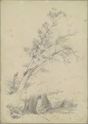 Puut, Hudson