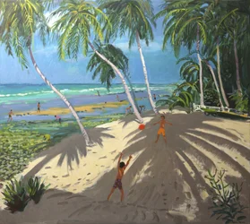 Palmuja, Clovellyn ranta, Barbados, 2013,