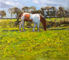 Piebald Horse, 2010 (öljy kankaalle)