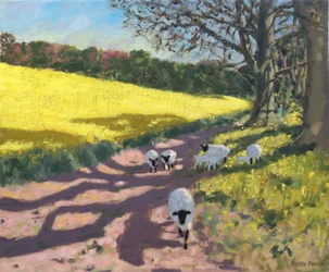 Lammas ja keltainen pelto, 2017,