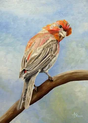 Punapeippo oksalla