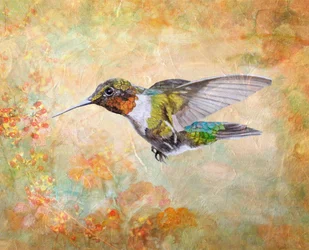 Rubiini-kurkkukolibri