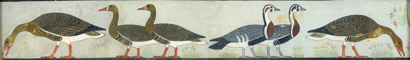 Kopio seinämaalauksesta Mastaba of Itet, Medum IV, 93-94 hanhet, 1900-luku