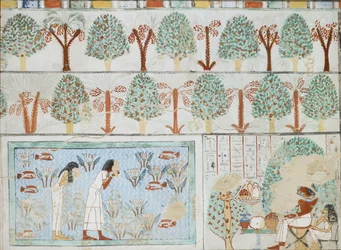 Kopio seinämaalauksesta Sebkhotpen yksityisestä haudasta 63, Thebes I, 1, 125-128, 1900-luku