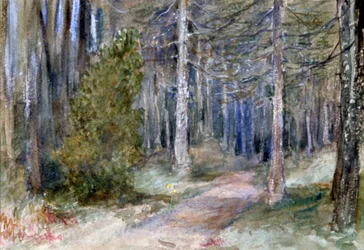 "In a Wood", 1864-1930.