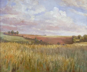 "The Cornfield", 1864-1930.