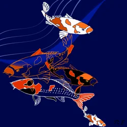 Koi (sekoitettu media)