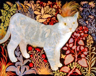 Hopea Tabby