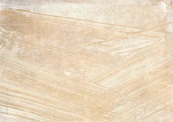 Pehmeät beige-sävyiset siveltimenvedot