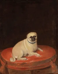 Mopsi