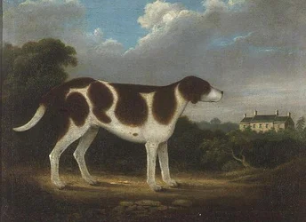 Osoitin, primitiivinen koulu