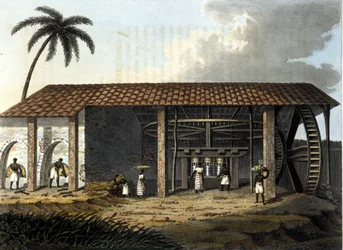 Brasilia, sokeritehdas - "" Vanha ja moderni puku"" 1819 - 1820, Dr. Jules Ferrario, toim. Milan.