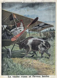 Ensimmäinen maailmansota 1914-1918 (sota 14-18). lehmä Venäjällä estämässä Saksan armeijan lentokonetta jäätymästä. "" Le Petite Journal" -lehdessä, 22.10.1916. Yksityinen kokoelma