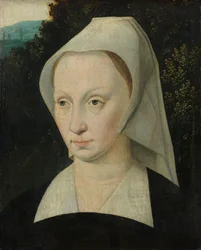 Naisen muotokuva