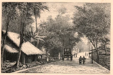 Näkymä kadulle Colombosta Ceylonissa (Sri Lanka). Louis-Eugene (Louis Eugene) Louvetin kaiverrus "Katoliset lähetystyöt XIX-luvulla". yksityinen kokoelma.