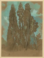 Sypressitutkielma