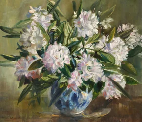Rhododendronit, vaaleanvalkoiset ja vaaleanpunaiset