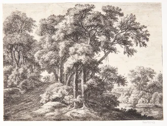 Metsätie joen varrella