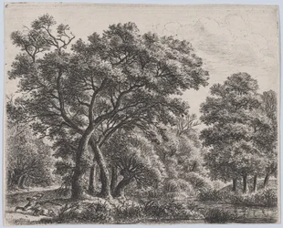 Ankkametsästäjä, 1600-luku.