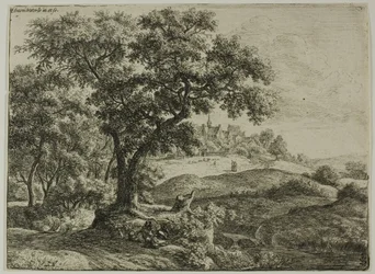 Metsän reuna