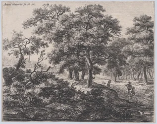 Neljä puuta, 1600-luku.