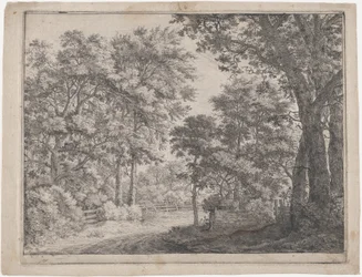 Leikatut lehdot, 1600-luku.