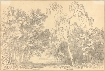 Metsäinen maisema