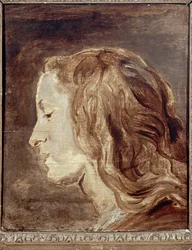 Head Study, 1600-luvun ensimmäinen puolisko (öljy aluksella)