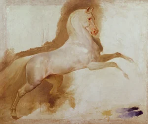 Joachim Muratin hevonen, n. 1832