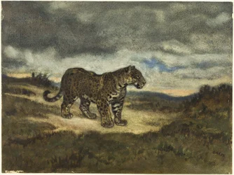 Jaguaari seisoo
