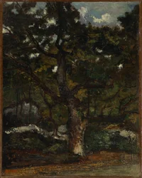 Tontti Fontainebleaun metsässä