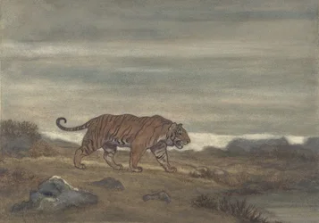 Tiger Approaving Pool, 1810-75.