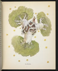 Baobabit, Antoine de Saint-Exupéryn kirjan "Le Petit Prince" kuvitus.