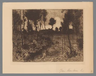 Metsätie yöllä