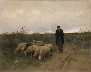Paimen ja lampaat