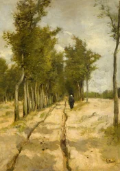 Torenlaan Larenissa