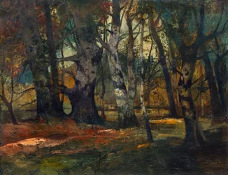 syksyinen metsä